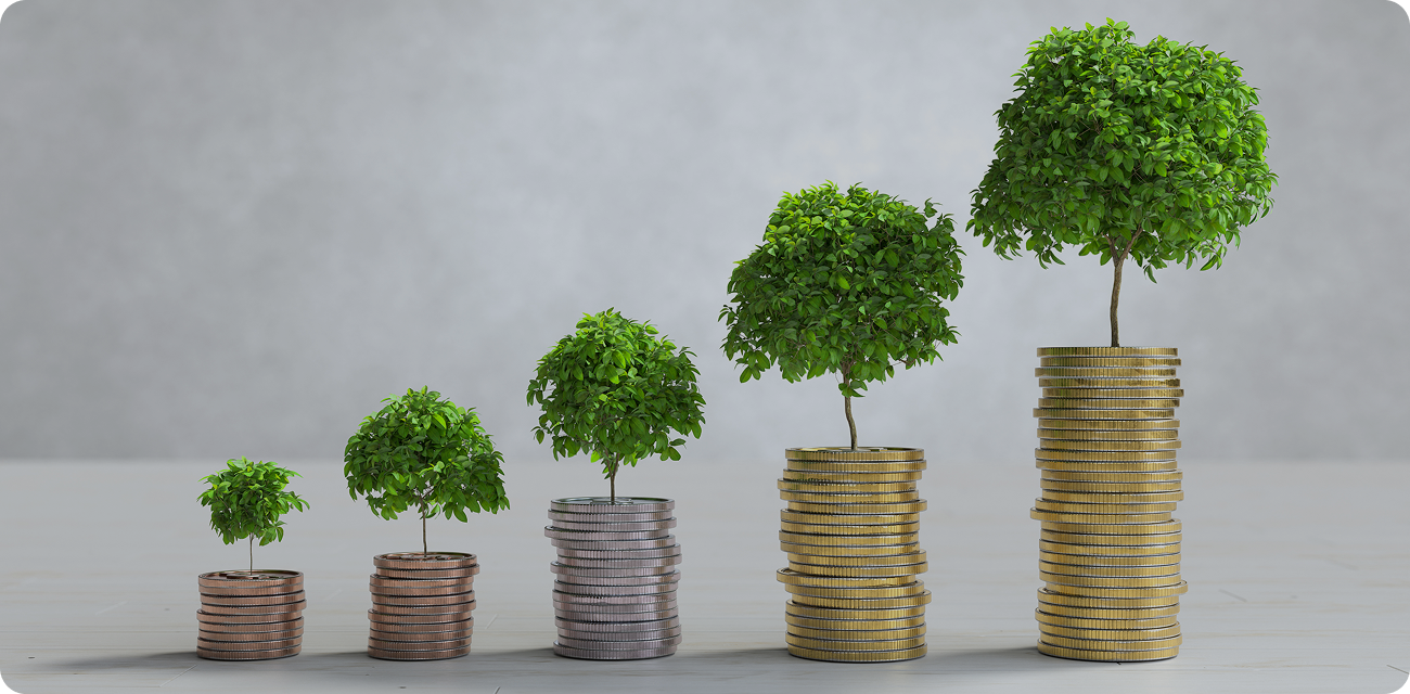 Growing trees on stacks of coins representing financial growth and investment returns