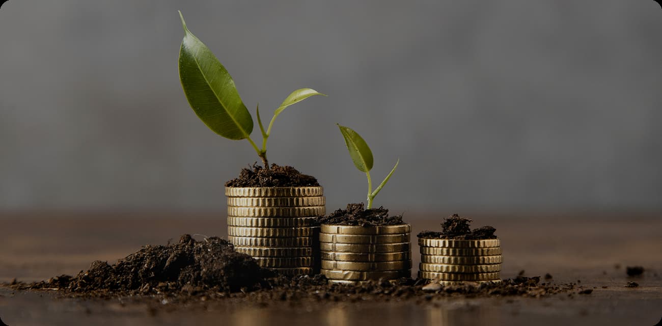 why Endowment giving is different